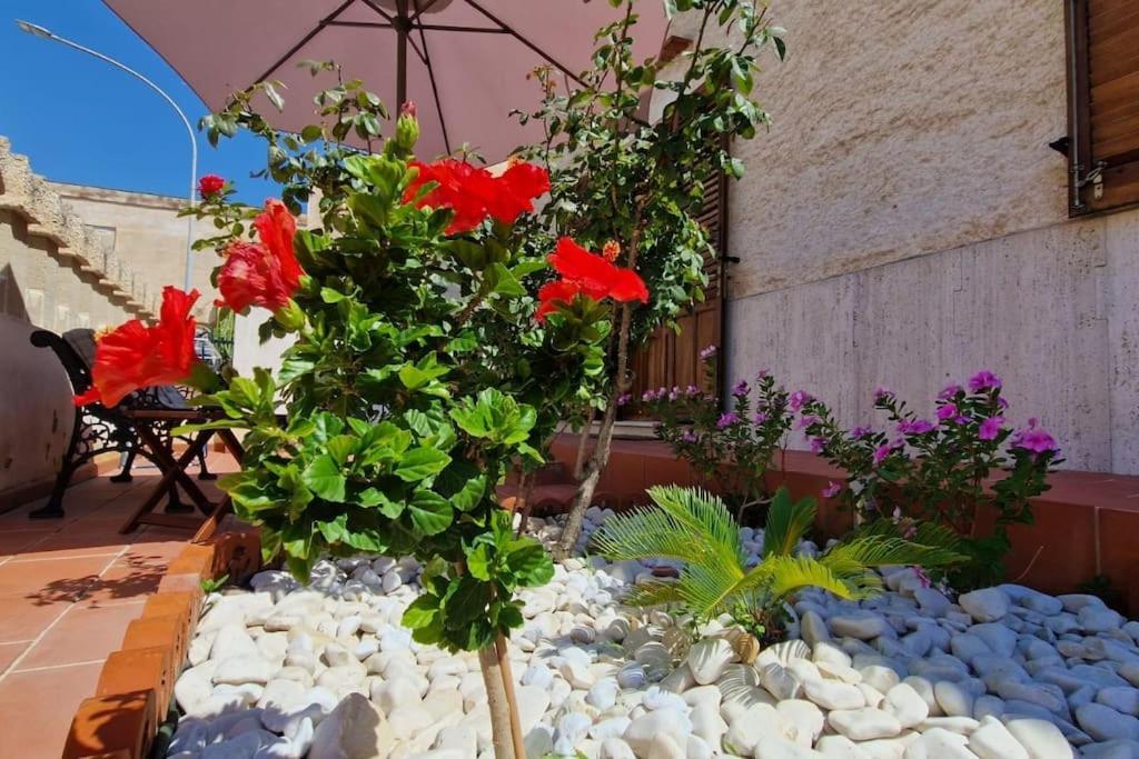 La Cava Di Sasa Villa Favignana Luaran gambar
